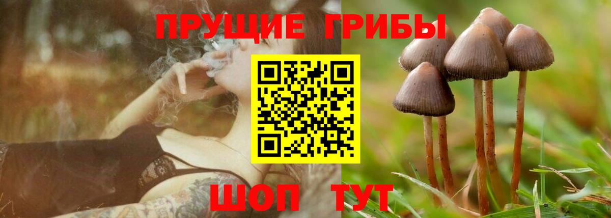 Галлюциногенные грибы мухоморы Нурлат